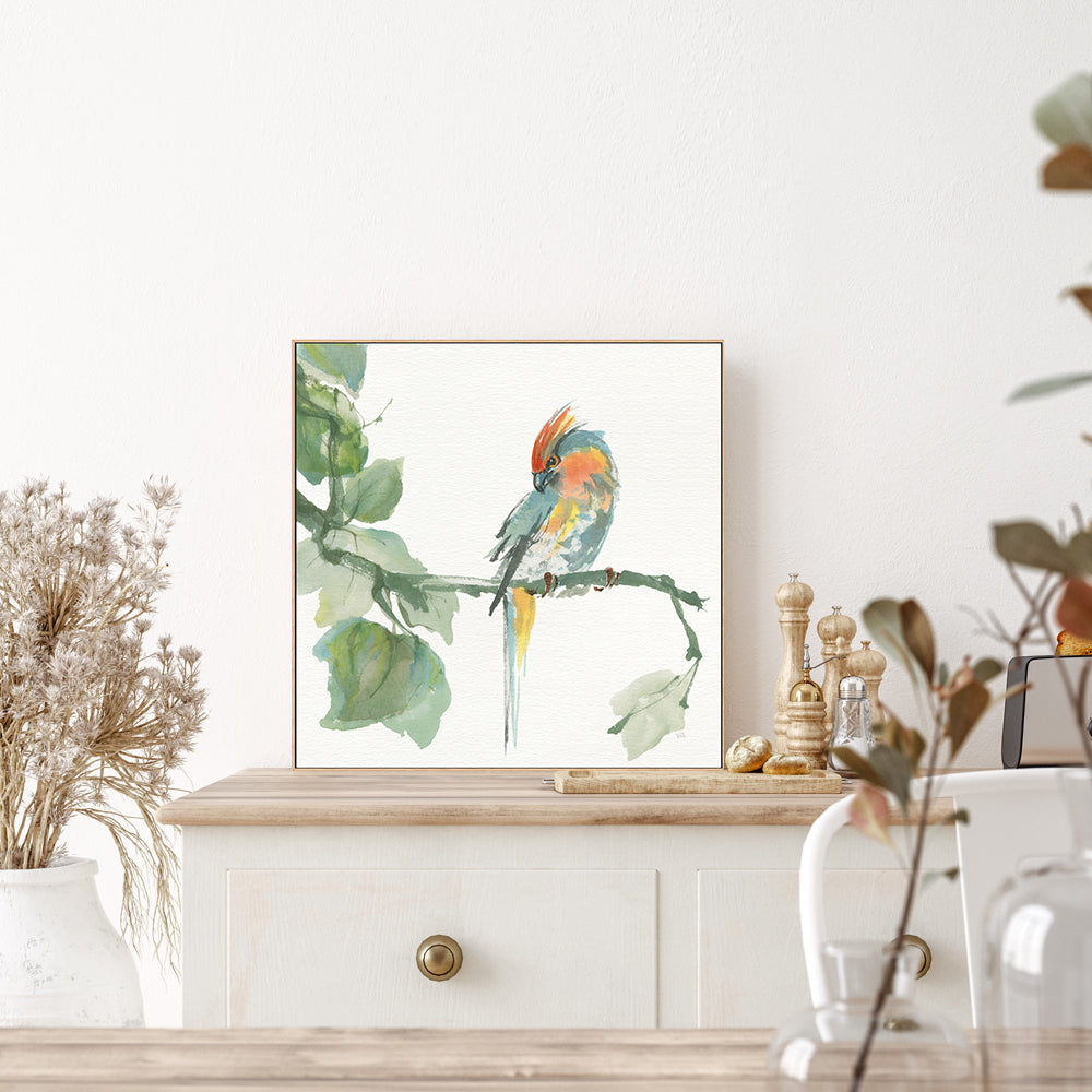 wall-art-print-canvas-poster-framed-Crested Cockatoo , By Chris Paschke-GIOIA-WALL-ART